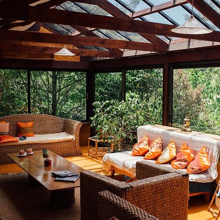 Kawai Purapura Yoga Retreat Centre Hotel Auckland Bagian luar foto