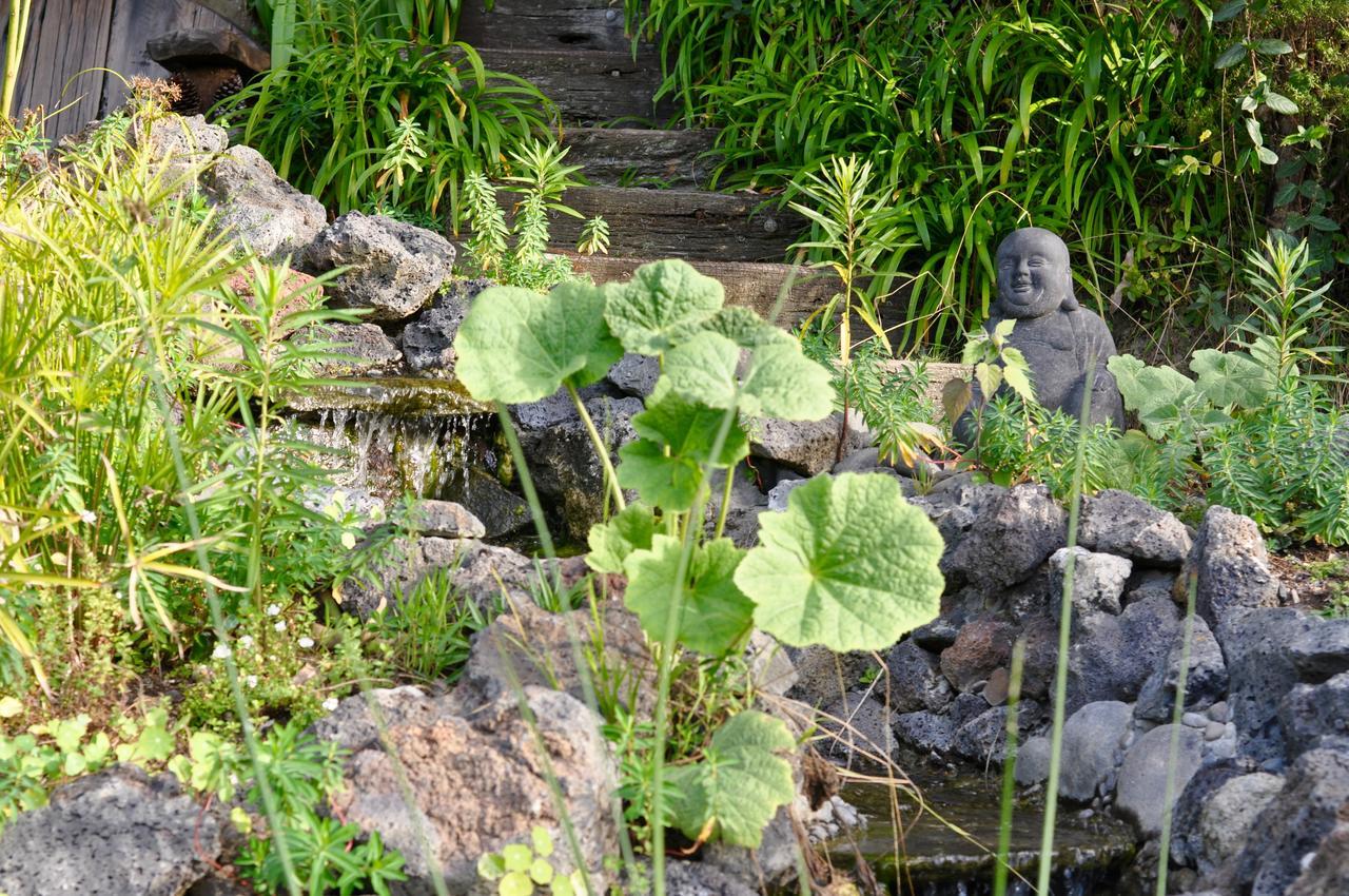 Kawai Purapura Yoga Retreat Centre Hotel Auckland Bagian luar foto